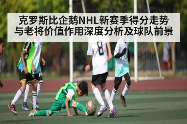 克罗斯比企鹅NHL新赛季得分走势与老将价值作用深度分析及球队前景